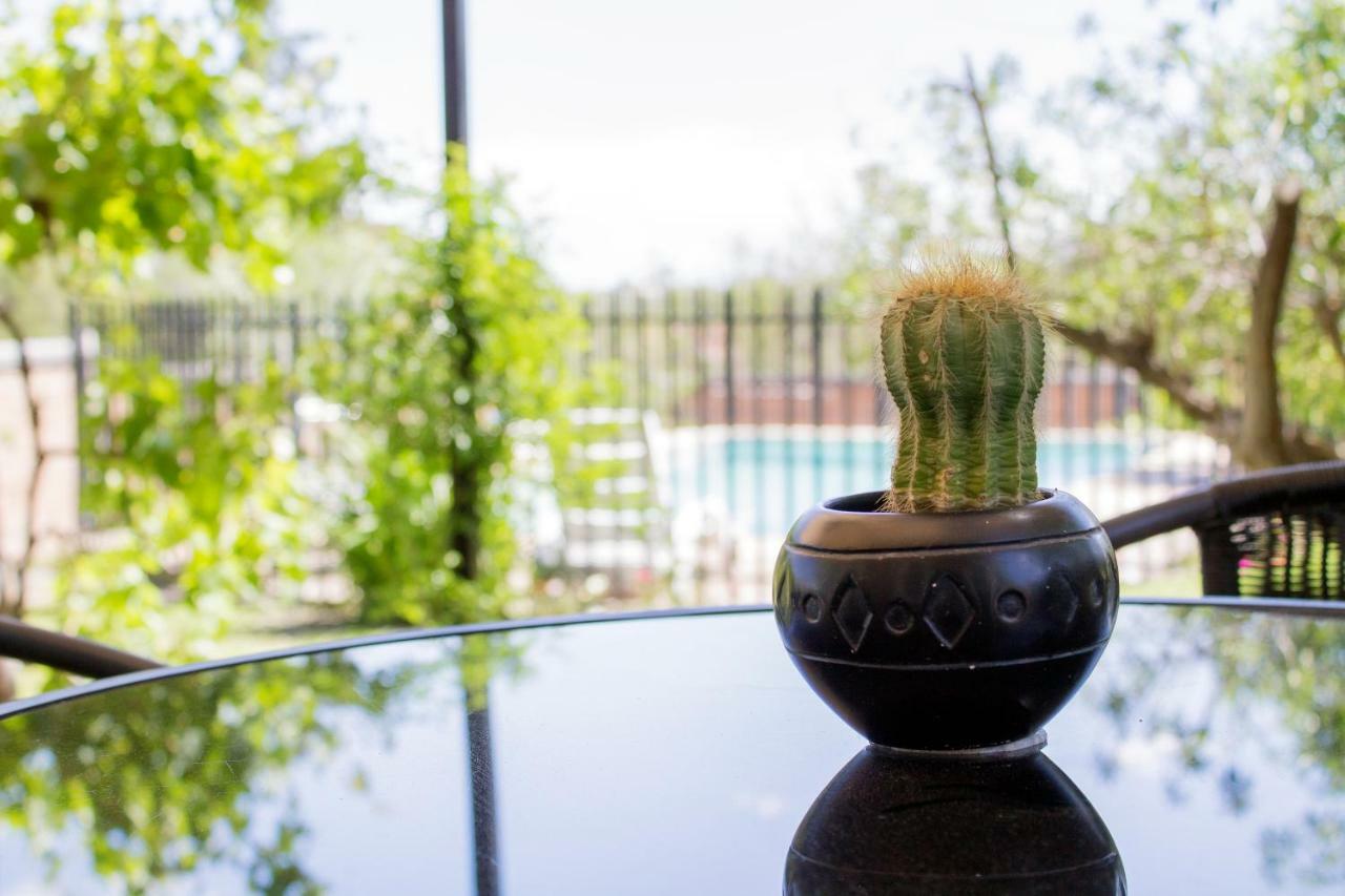 Haus Holzapfel Otel Beaufort West Dış mekan fotoğraf